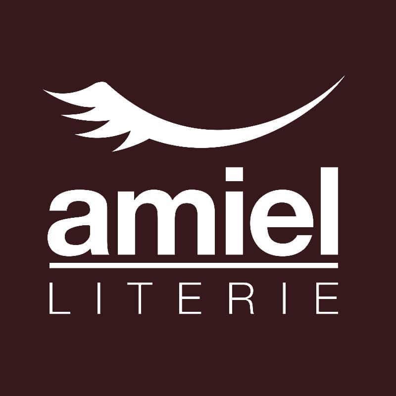 logo Amiel